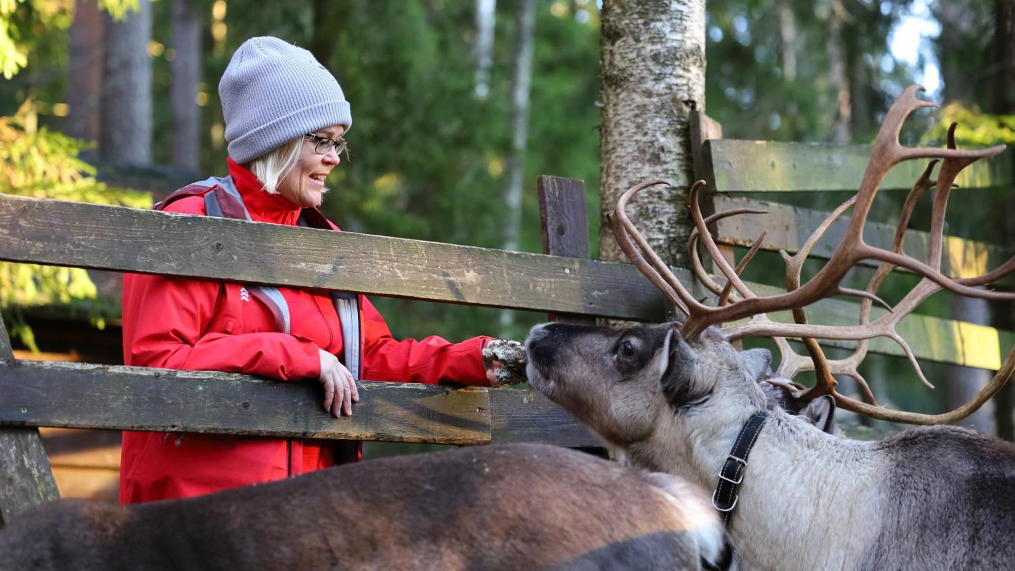 Haltia Lake Lodge Nature Boutique Hotel & Glamping Эспоо Экстерьер фото